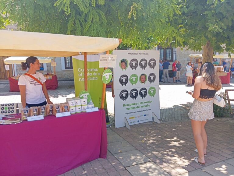 Mujer en mercado de Fuentes de Nava con productos locales y decoración