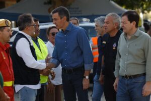 Pedro Sánchez y otros funcionarios en la zona afectada por el incendio en Ávila