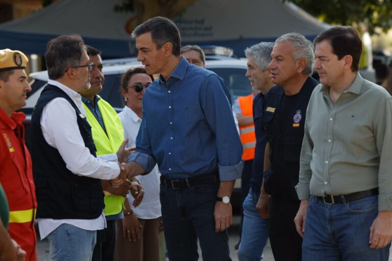 Pedro Sánchez y otros funcionarios en la zona afectada por el incendio en Ávila