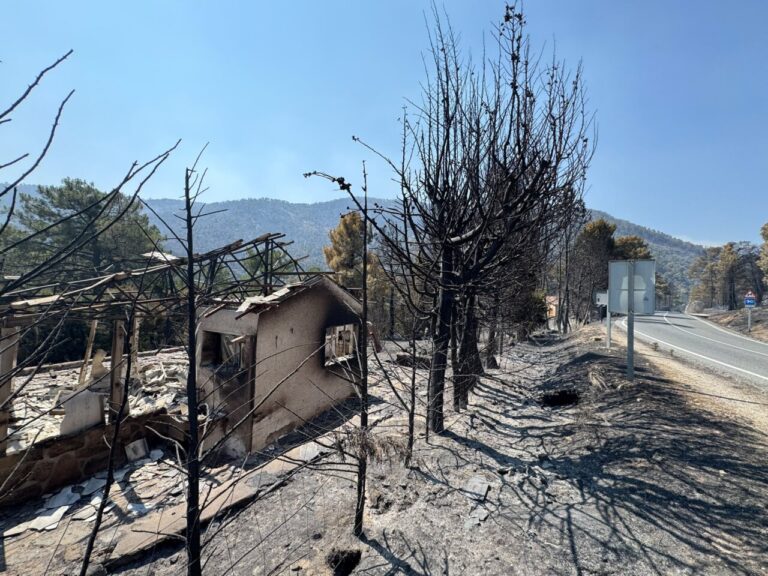 Vista de una casa destruida por el incendio forestal en Burgohondo