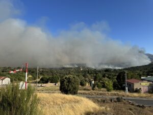 Vista del incendio forestal en Burgohondo con humo denso y vegetación
