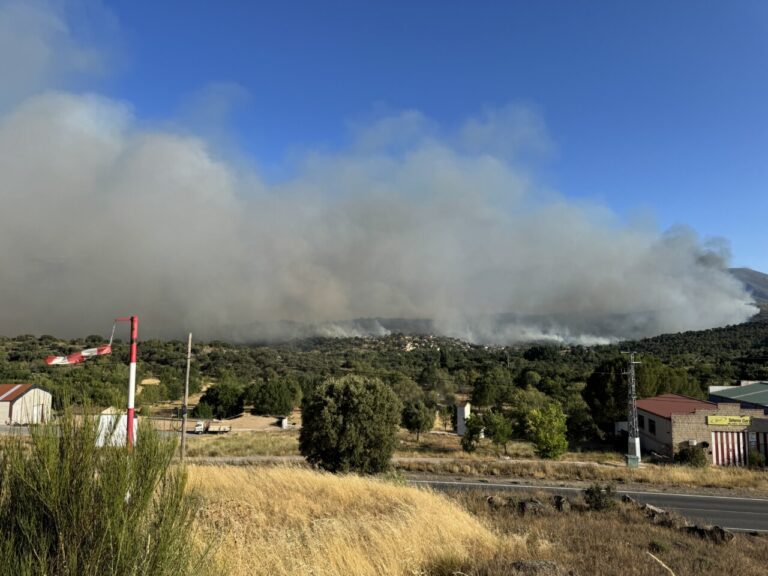 Vista del incendio forestal en Burgohondo con humo denso y vegetación