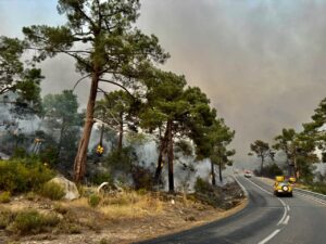 Incendio forestal en Burgohondo con evacuados y confinados