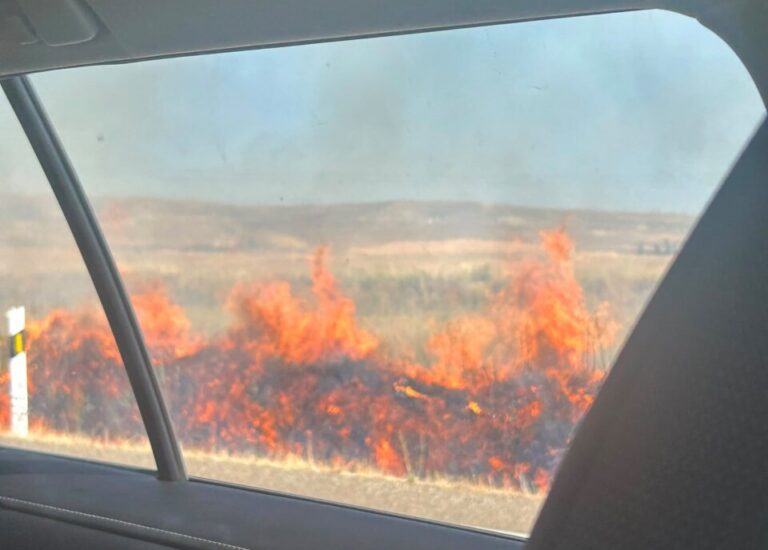 Vista de un incendio forestal en Villamartín desde un vehículo.
