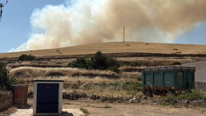 Densa columna de humo de un incendio forestal en Valdeolmillos.