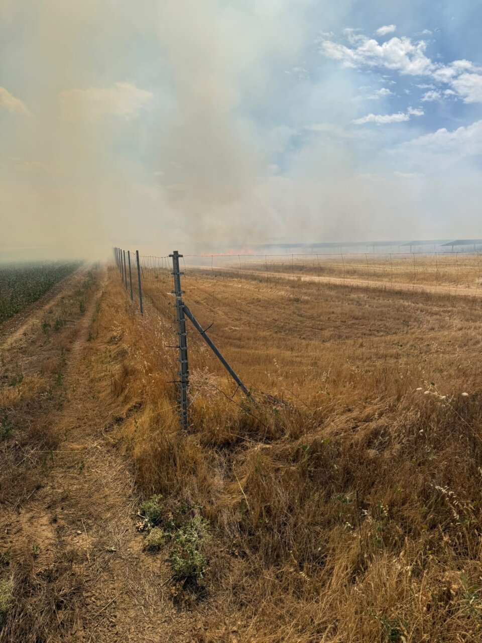 Incendio de vegetación en una planta fotovoltaica en Villamediana