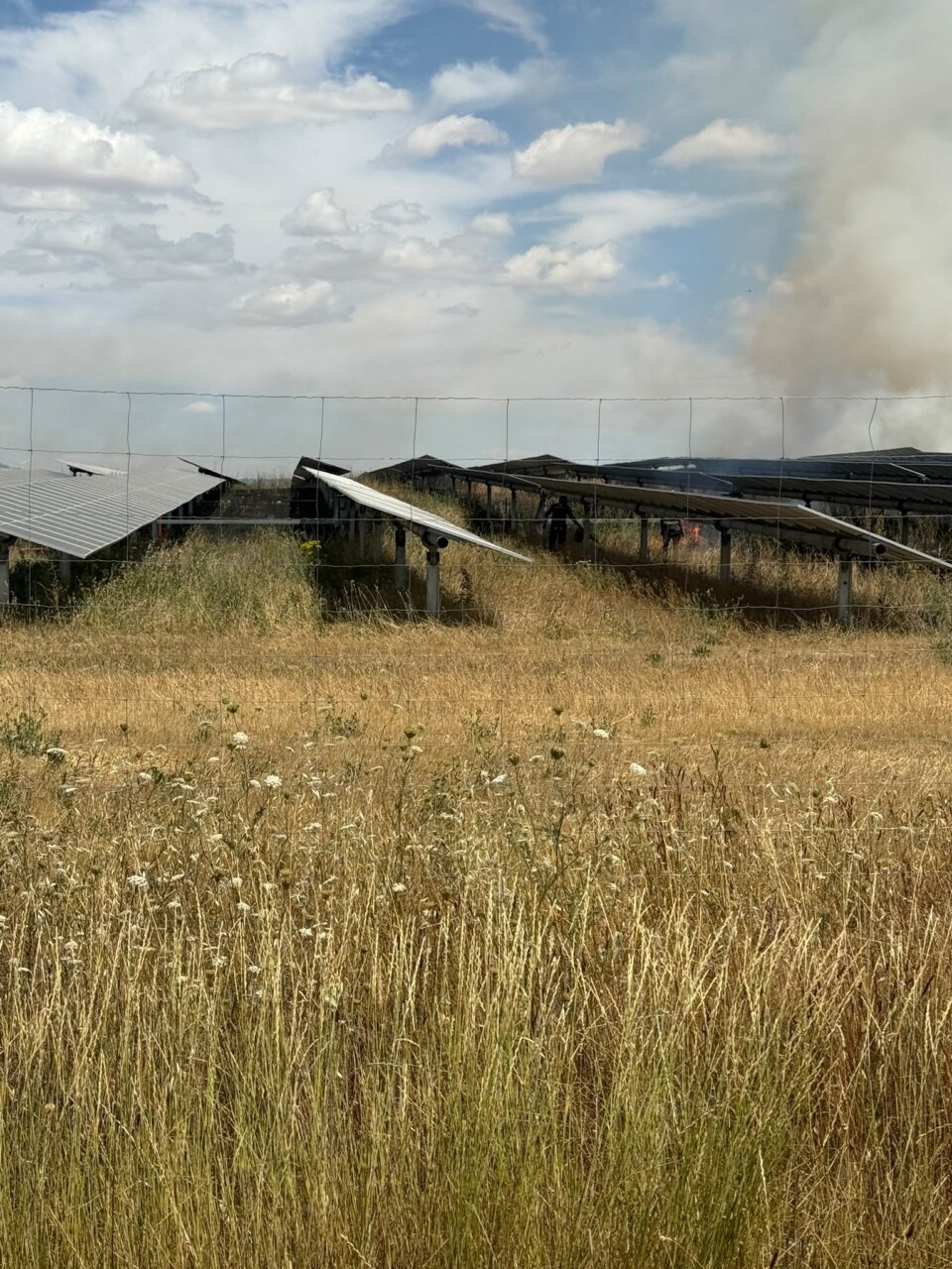 Incendio de vegetación en planta fotovoltaica en Villamediana
