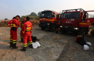 Miembros de la UME trabajando en la contención de incendios forestales