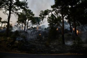 Incendio forestal en la sierra de Madrid con árboles ardiendo