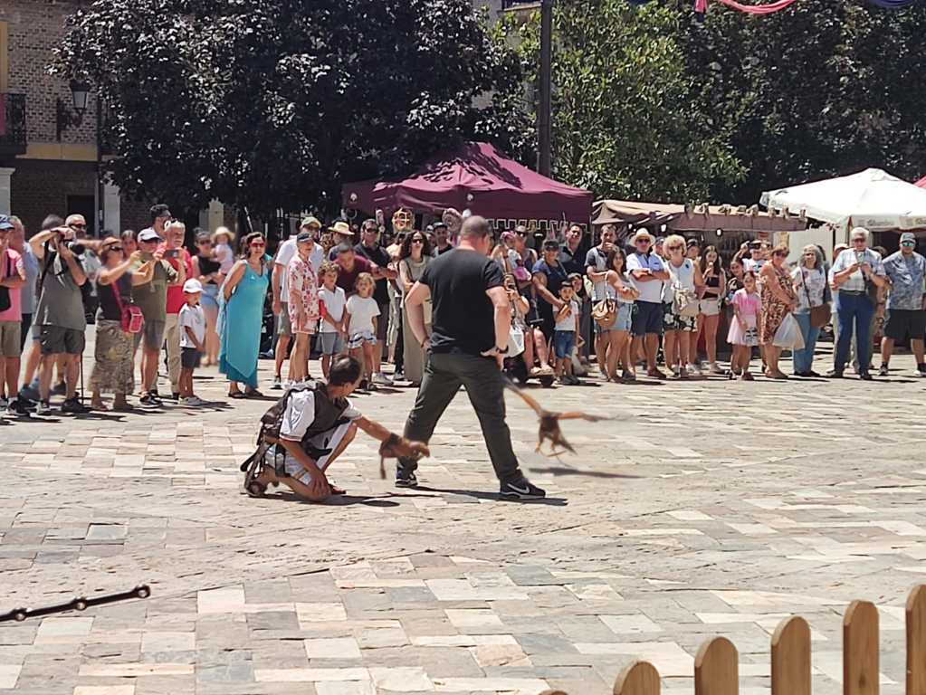 Exhibición de cetrería en el Mercado Romano de Saldaña con gran afluencia de público.
