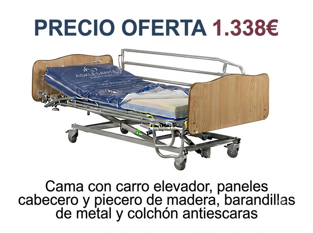 Cama articulada con carro elevador y colchón antiescaras