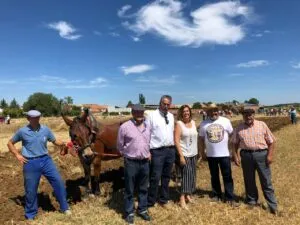Grupo de personas en un campo durante la trilla con un caballo