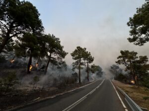 Carretera con árboles y humo de incendios forestales en Ávila