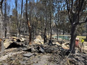 Zona afectada por incendio con árboles quemados y escombros visibles