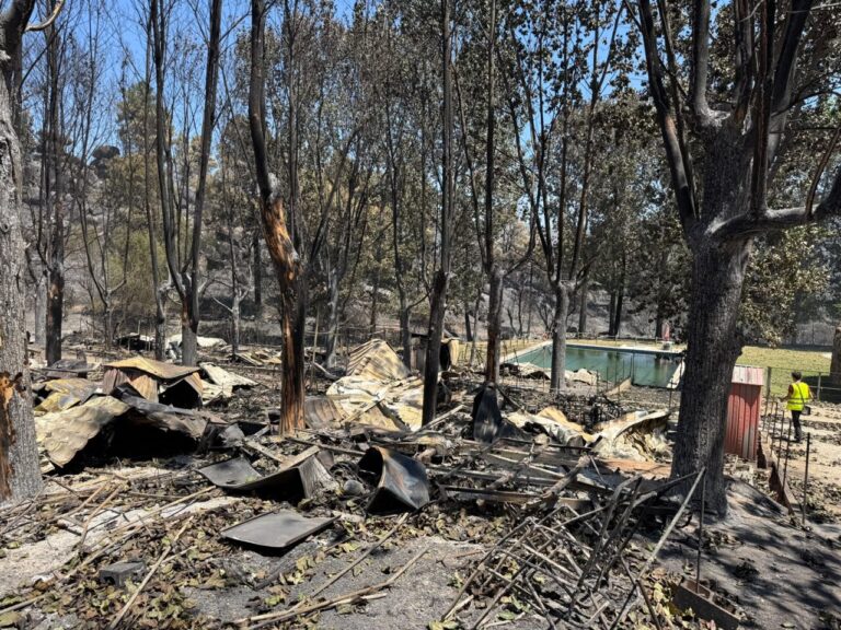 Zona afectada por incendio con árboles quemados y escombros visibles