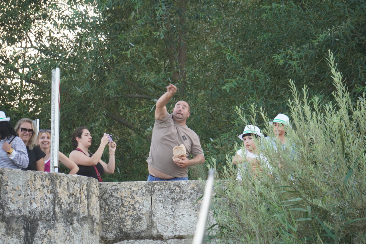 Participantes en la batalla Nabal lanzando nabos en Monzón de Campos