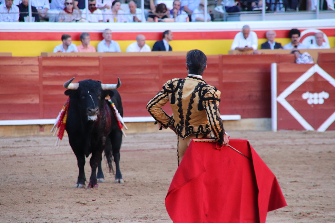 Torero con capa roja frente a un toro en la plaza de toros.