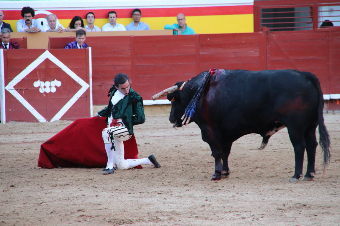 Torero en acción con un toro en la plaza de toros de Palencia