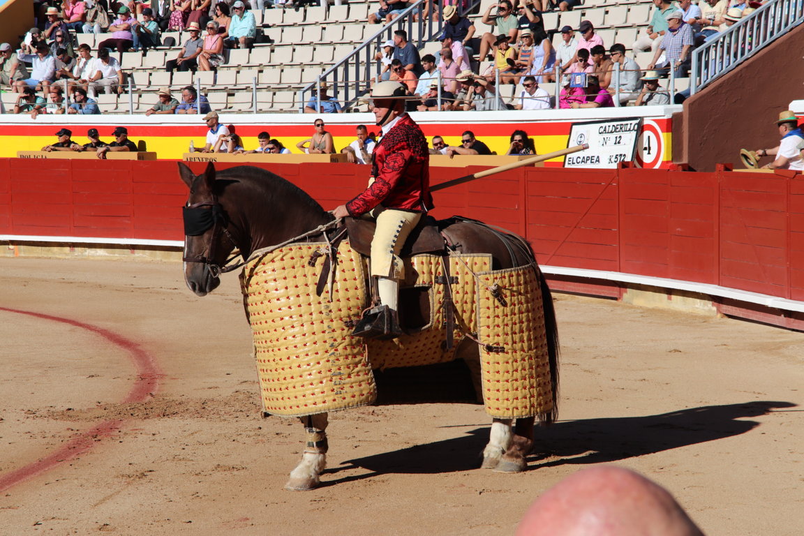Caballo con caparazón de paja en la corrida goyesca en Palencia