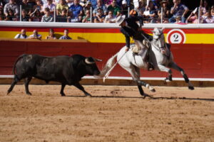 Rejoneador montando un caballo blanco mientras lidia un toro en Palencia