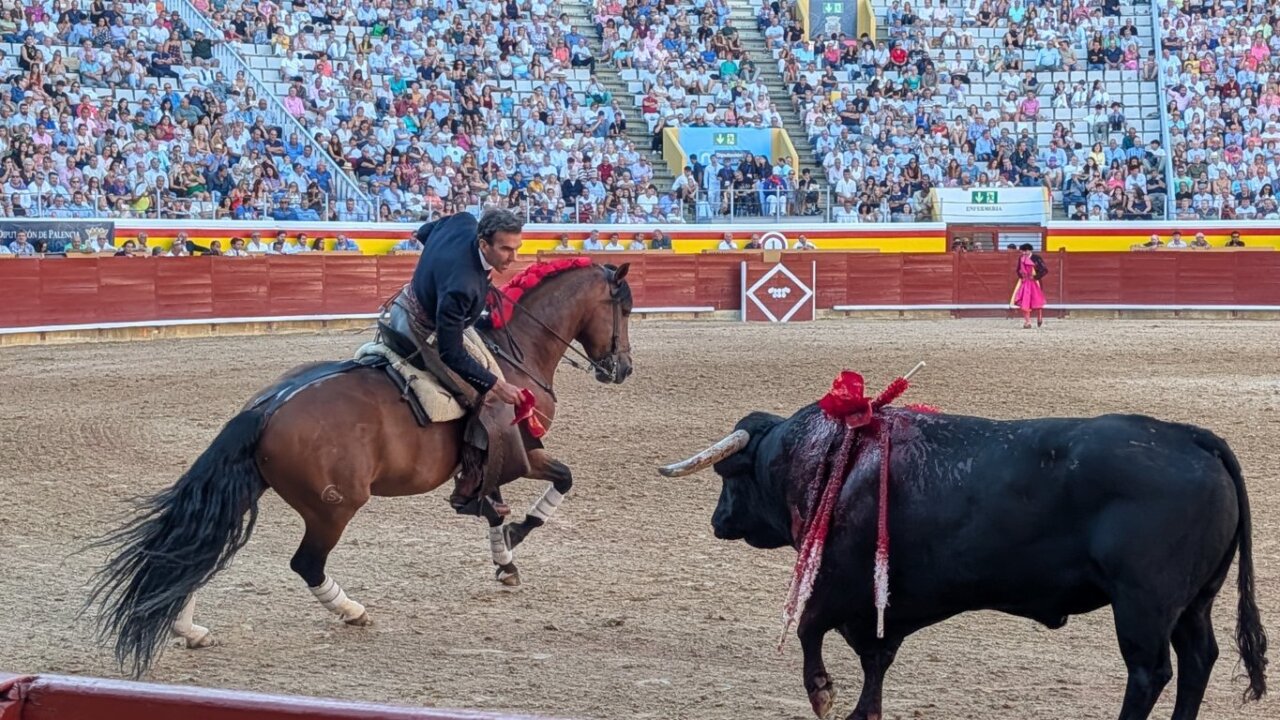 Rejoneador montando a caballo durante una corrida en Palencia