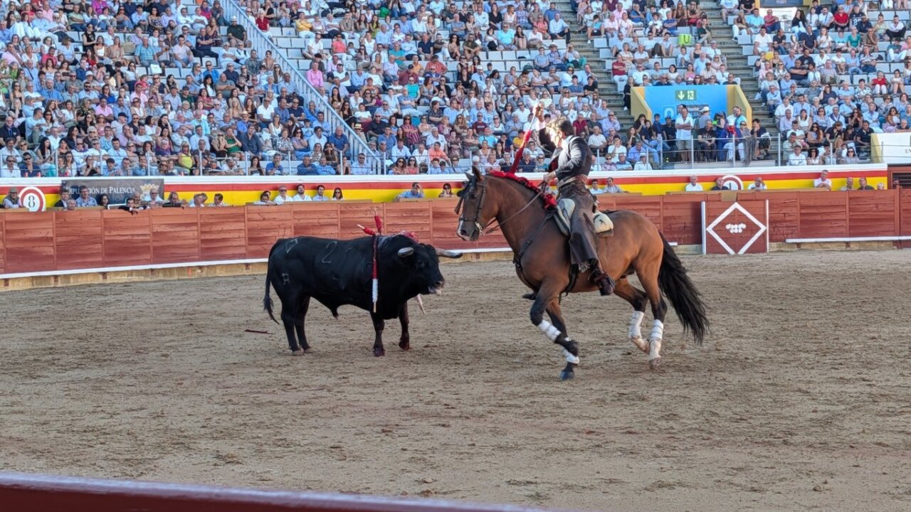 Rejoneador en acción con un toro en la plaza de toros de Palencia