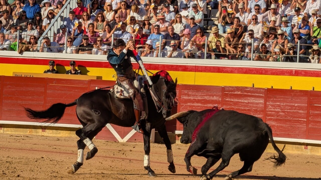 Rejoneador actuando en la plaza de toros de Palencia durante una corrida