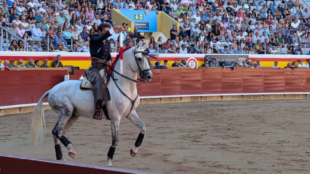 Rejoneador en acción durante la corrida en Palencia