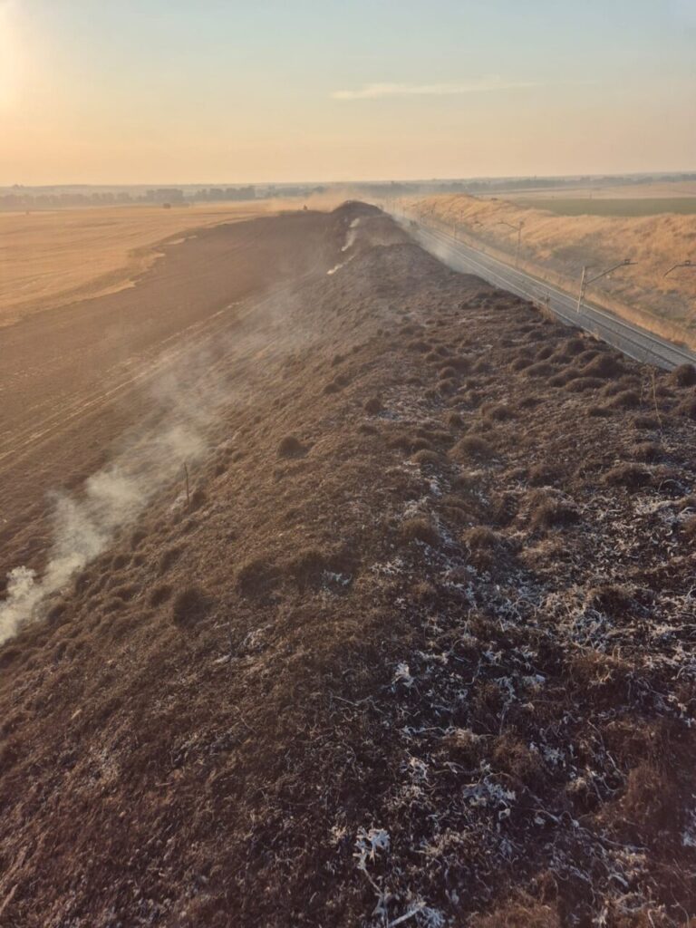 Vista de un terreno quemado por un incendio causado por un tren de mercancías
