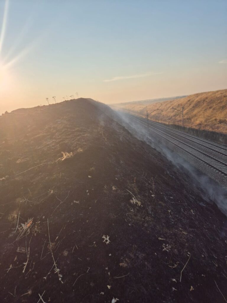 Tren de mercancías junto a un área afectada por un incendio