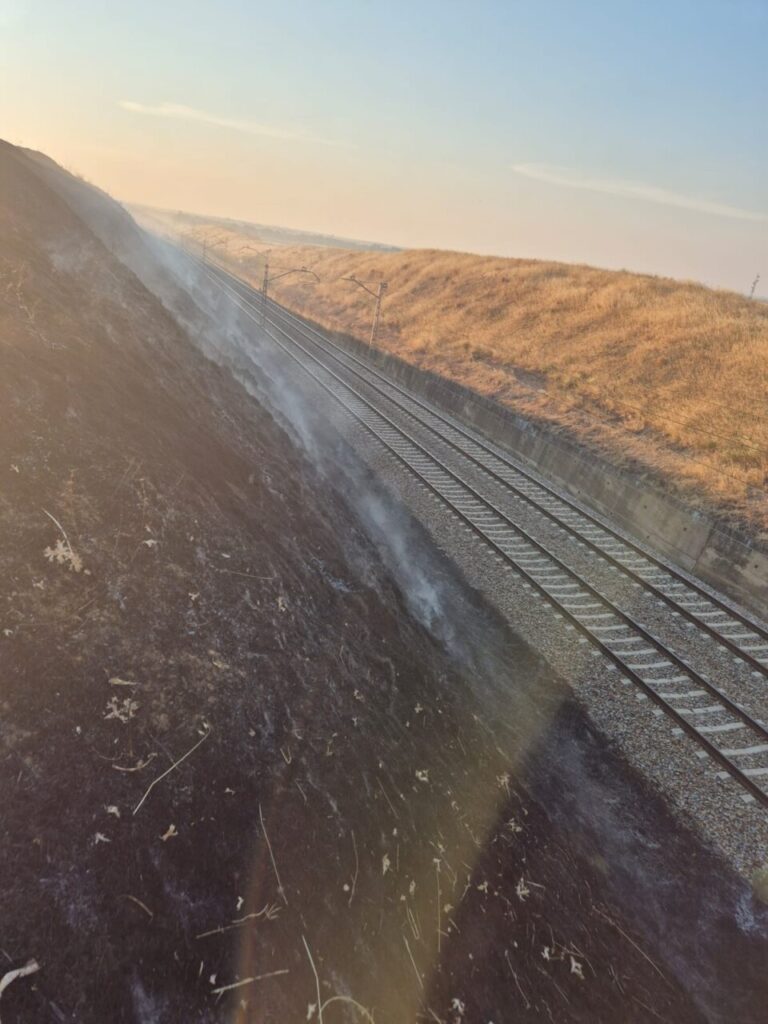 Tren de mercancías junto a un área afectada por un incendio