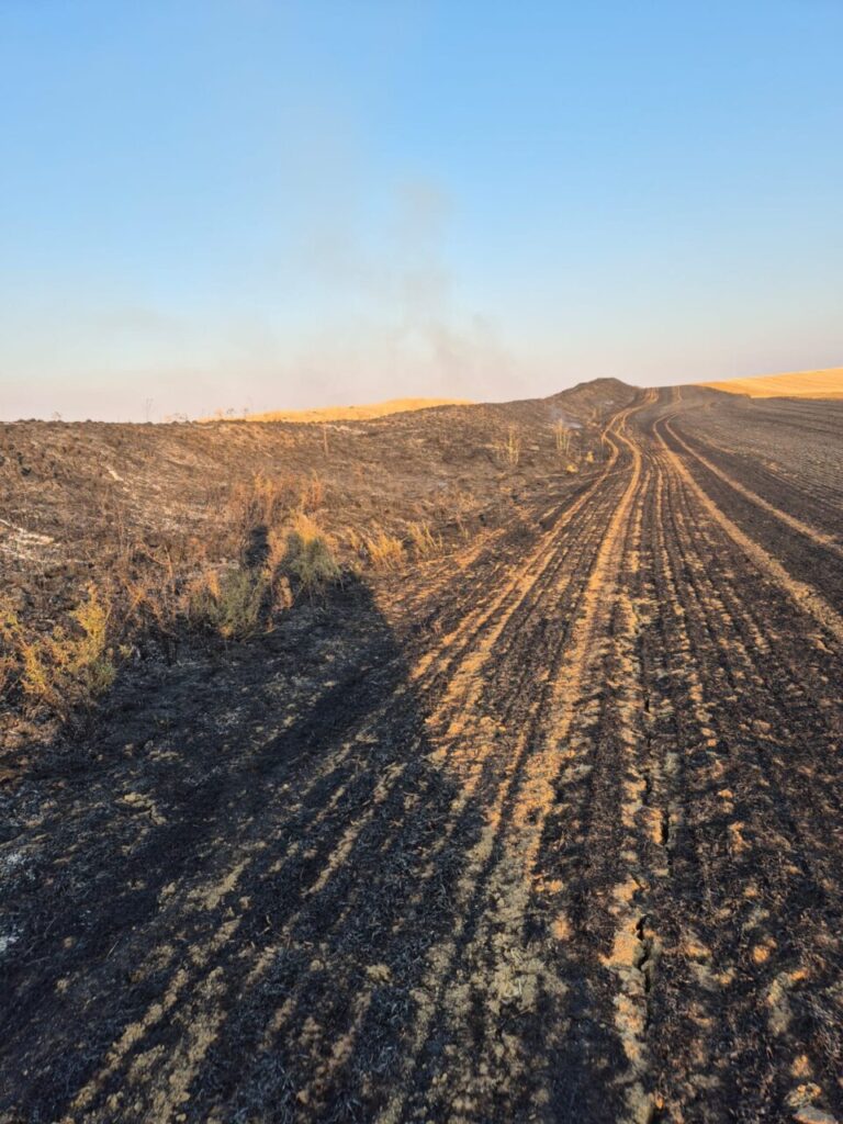 Campo quemado por incendio causado por tren de mercancías en Palencia