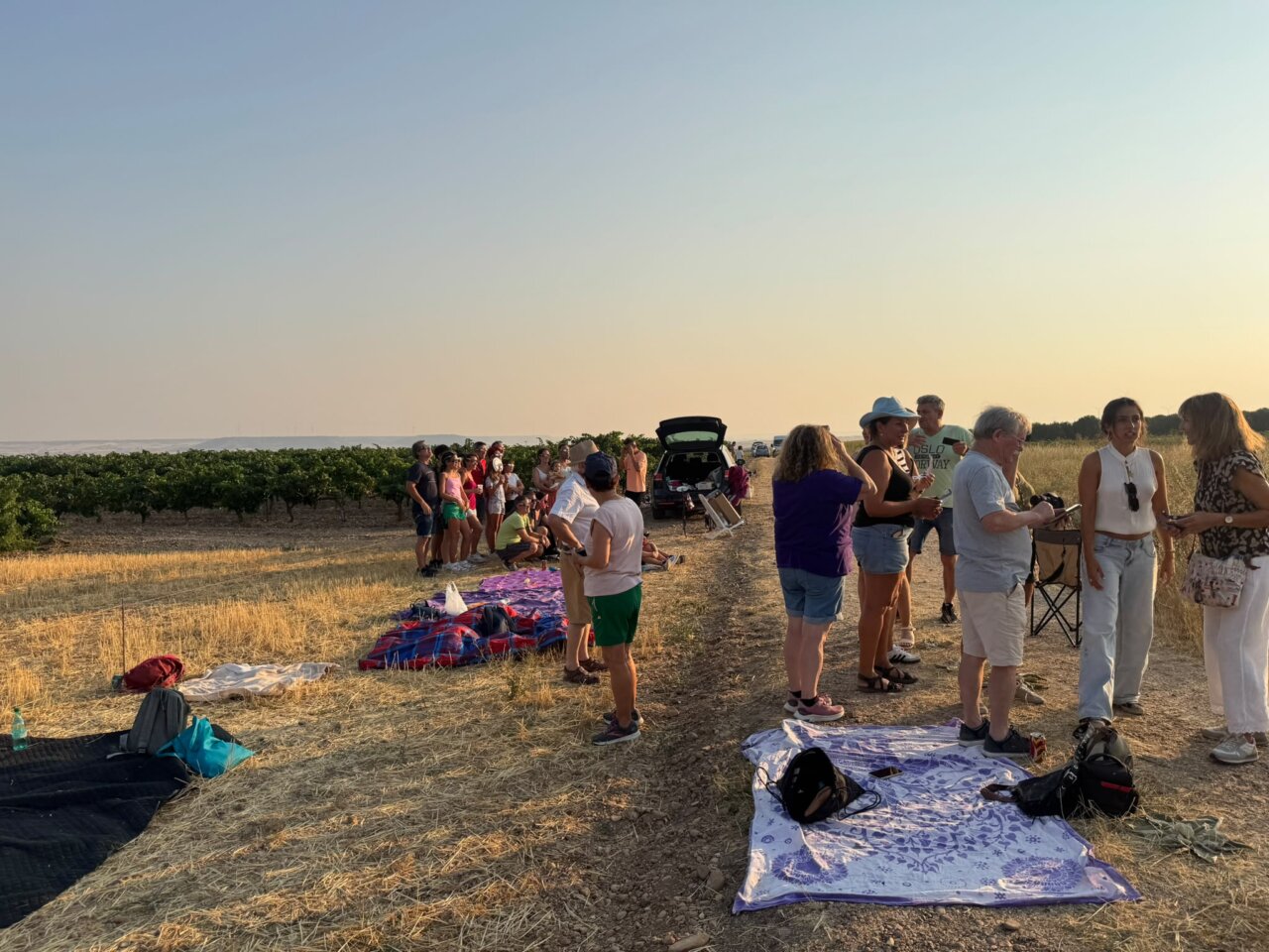 Personas disfrutando del eclipse total de Sol en Palencia