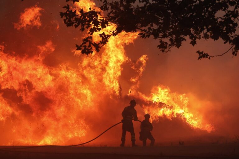 Bomberos luchando contra un incendio forestal en Palencia