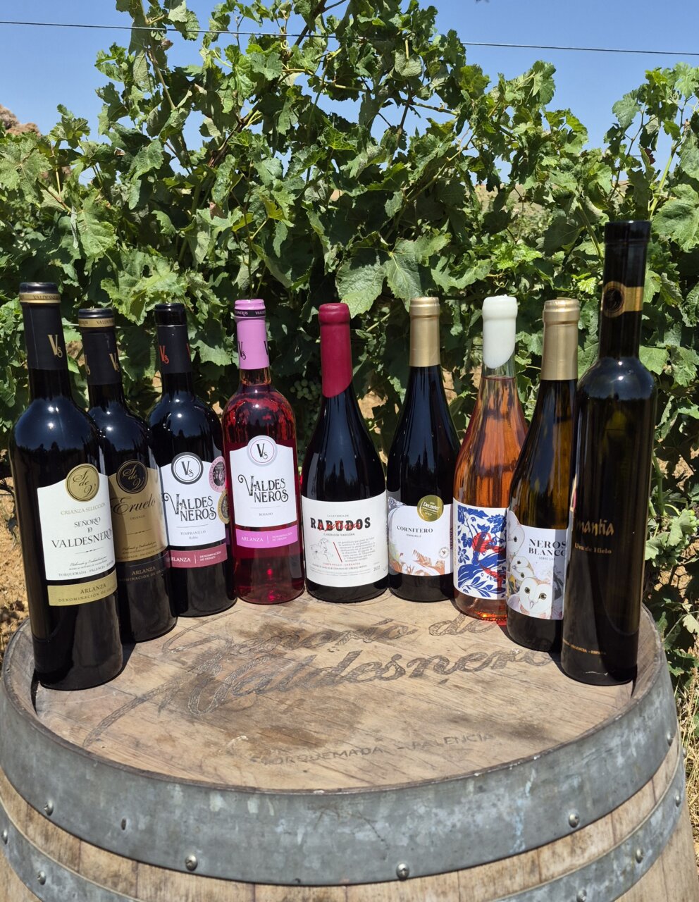Variedad de vinos de Bodegas Valdesneros en barrica de madera