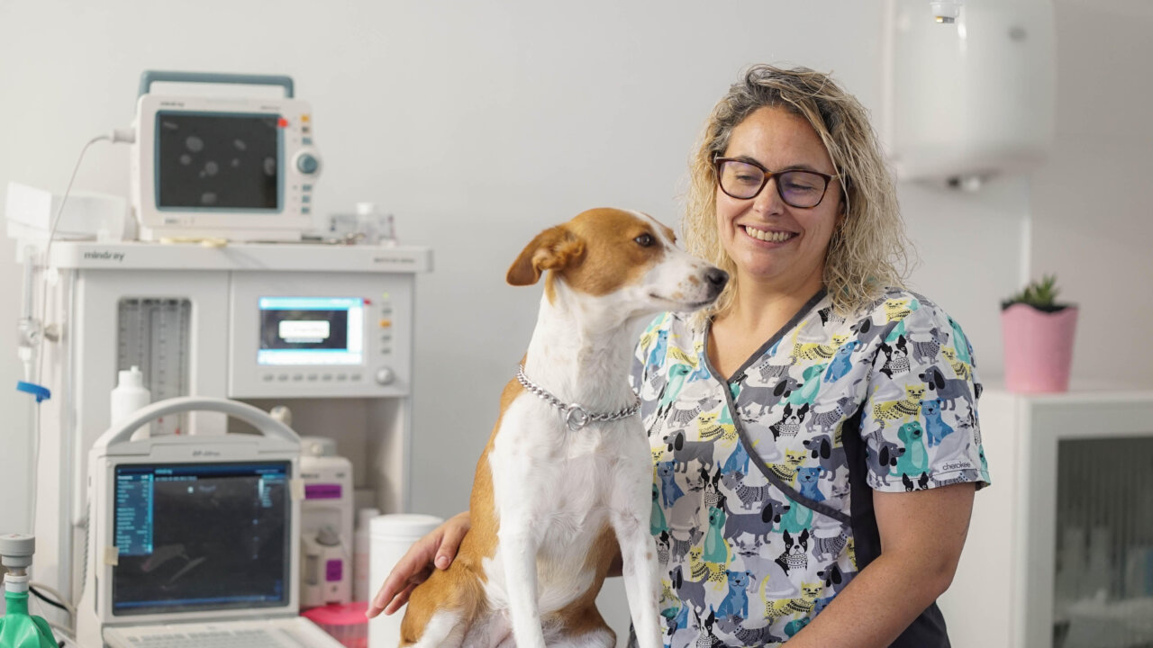 Veterinaria sonriente sosteniendo un perro en un centro veterinario moderno