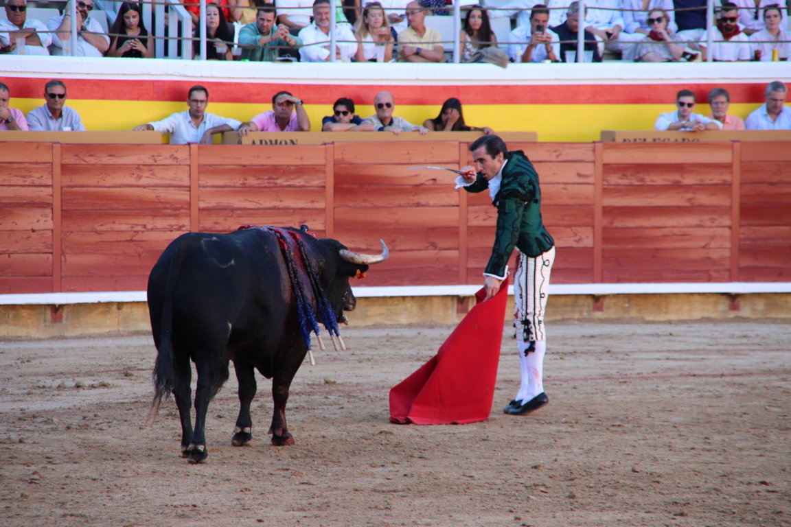 Torero en acción con un toro en la plaza de toros de Palencia