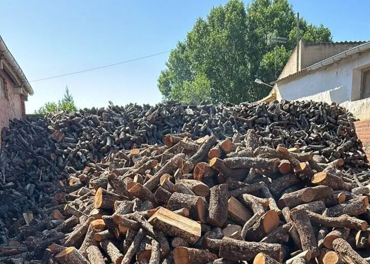 Montón de leña seca apilada en un entorno rural