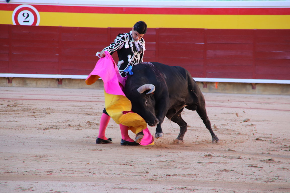 Torero realizando una faena con un toro en la plaza de toros.