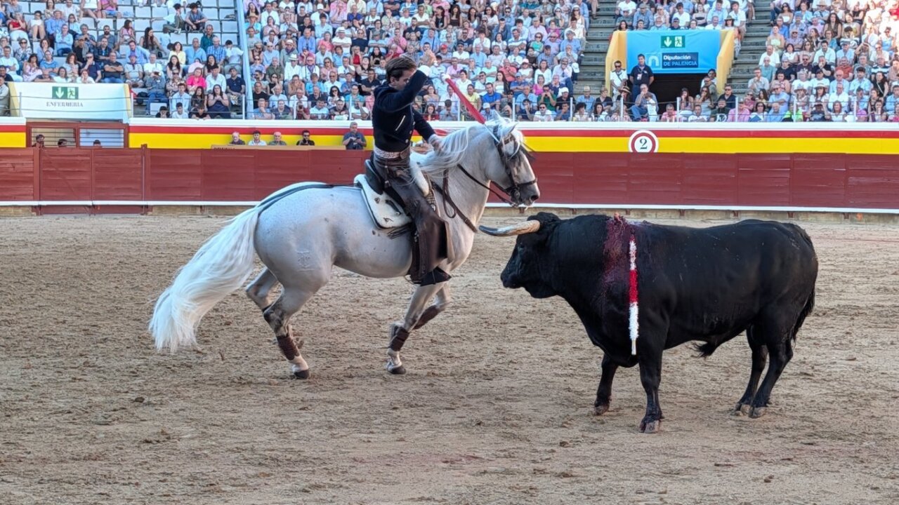 Rejoneador montado a caballo enfrentándose a un toro en Palencia