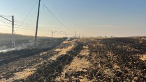 Tren de mercancías junto a un campo quemado tras un incendio
