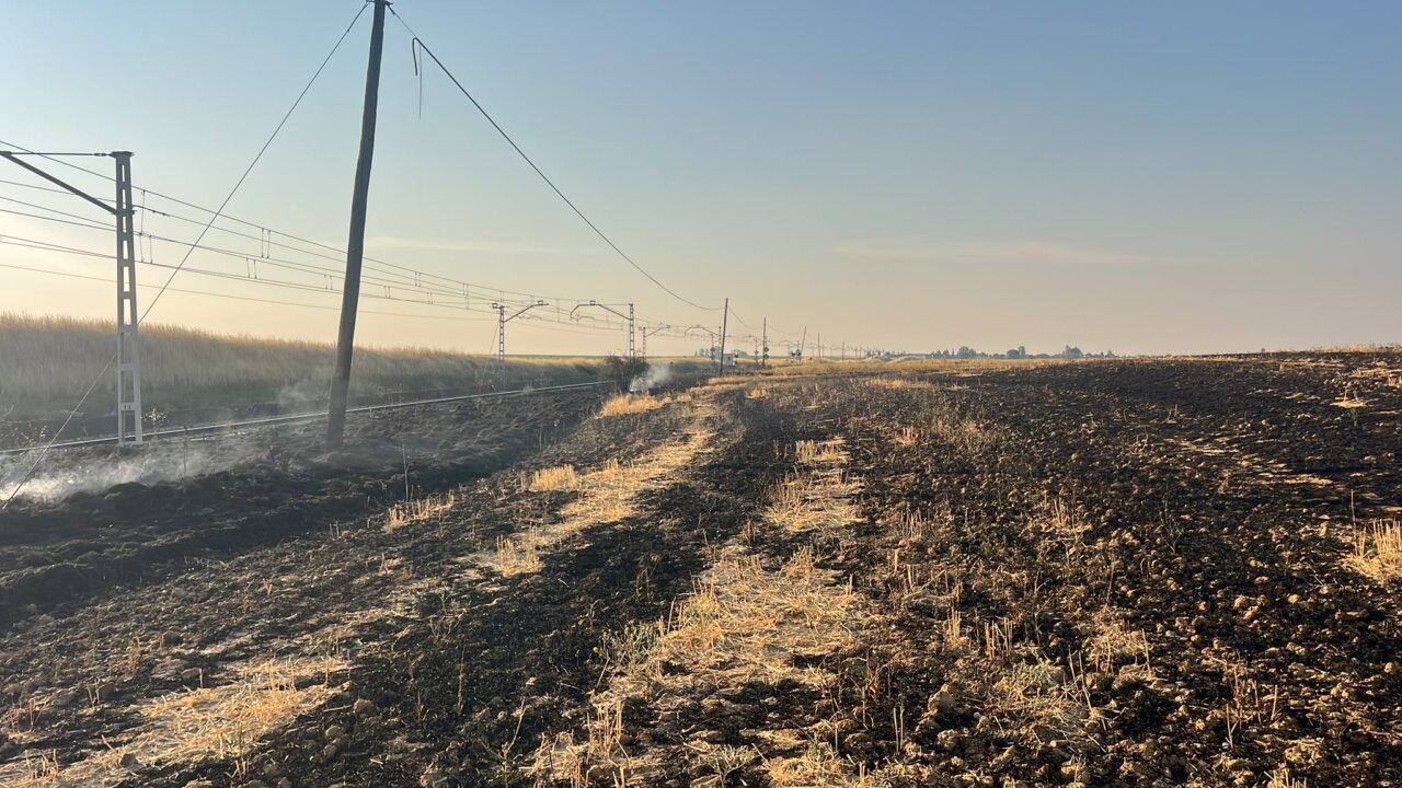 Tren de mercancías junto a un campo quemado tras un incendio