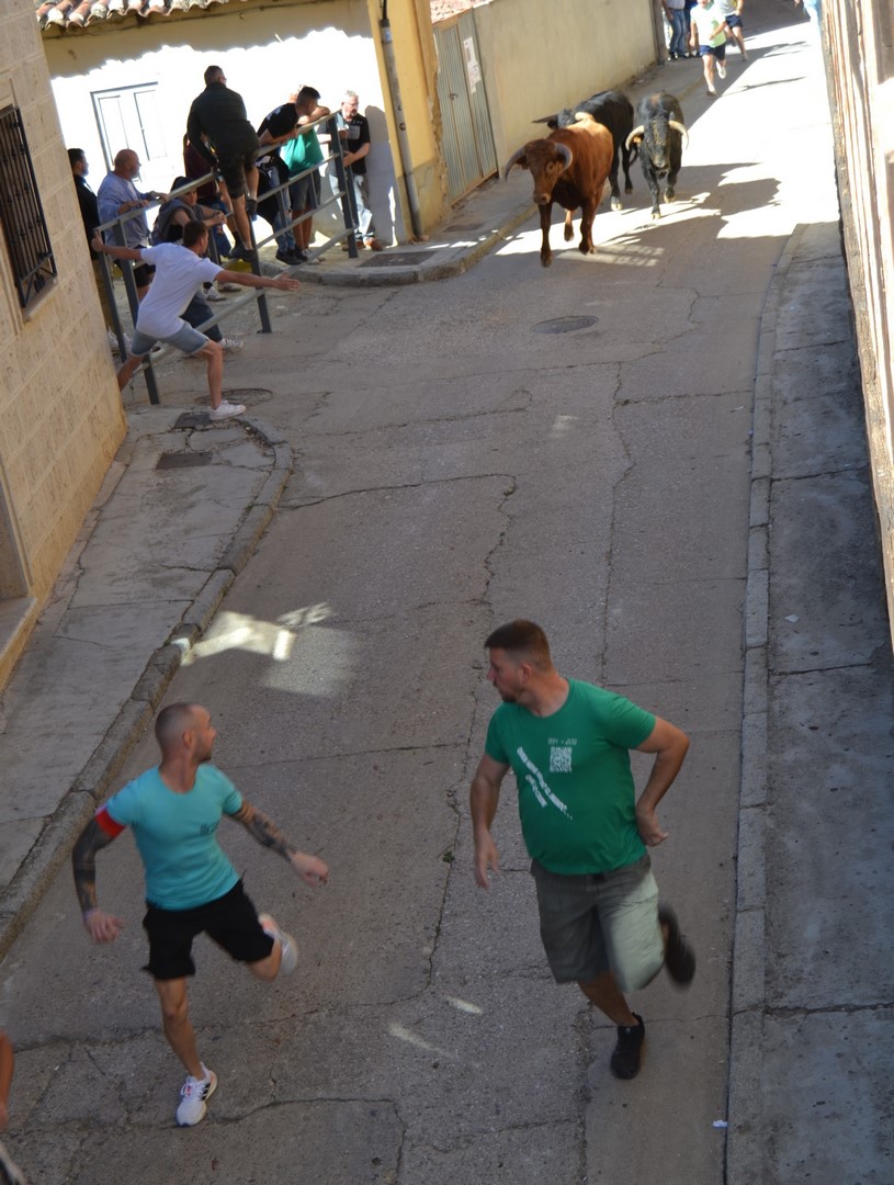 Personas corriendo durante los encierros en Astudillo