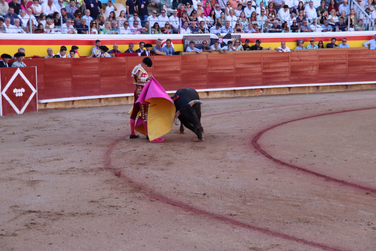 Torero realizando una faena con un toro en la plaza de toros de Palencia.
