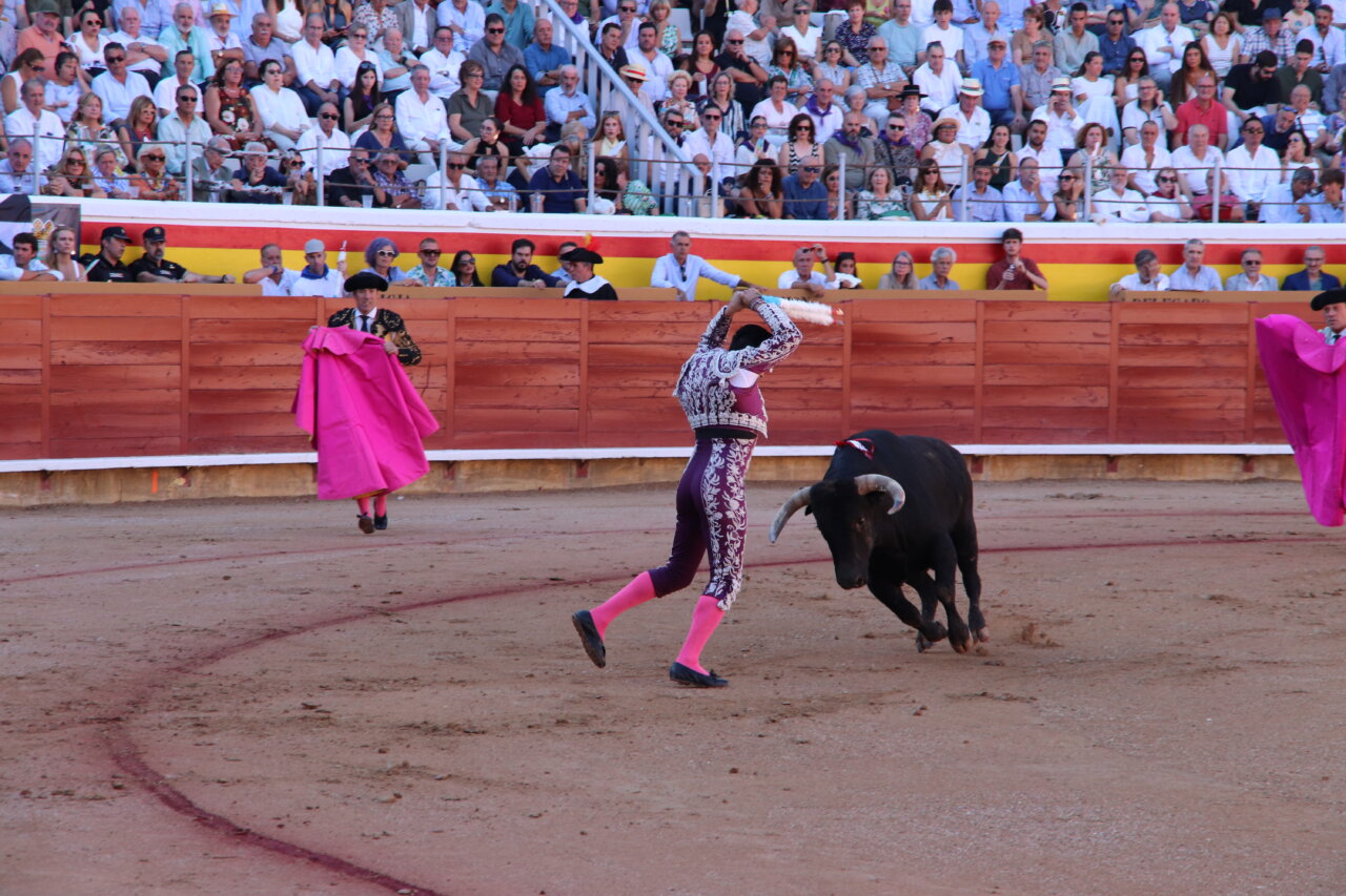 Torero realizando un pase con un toro en la plaza de toros de Palencia.