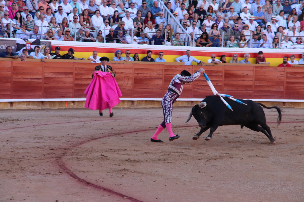 Torero en acción con un toro en la plaza de toros de Palencia