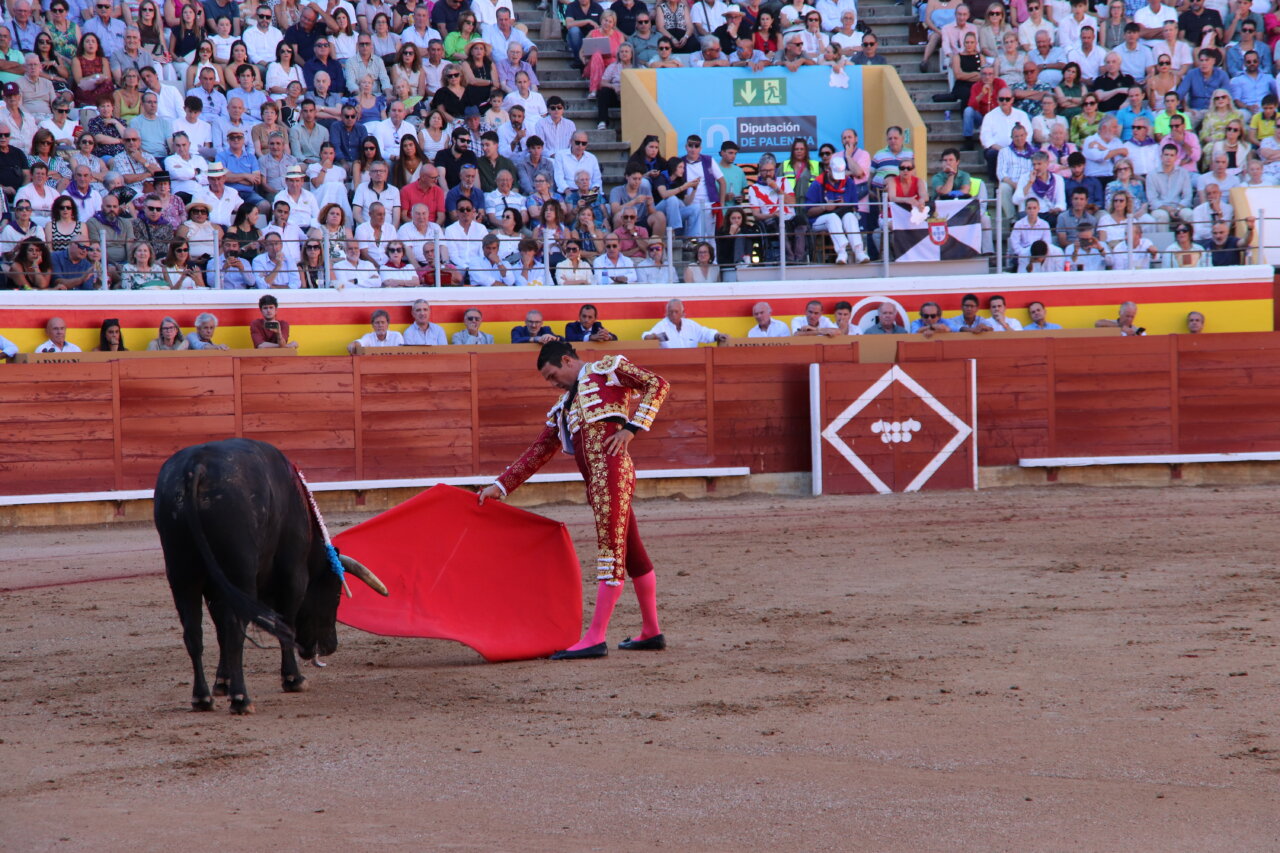 Torero realizando un pase con la capa roja ante un toro en la plaza de toros.