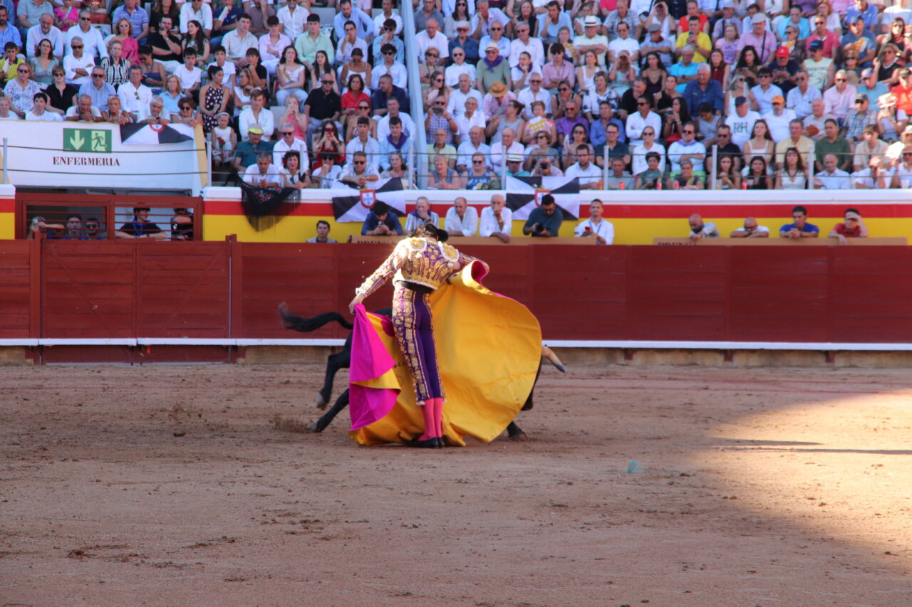 Torero realizando una faena con un toro en la plaza de toros de Palencia.