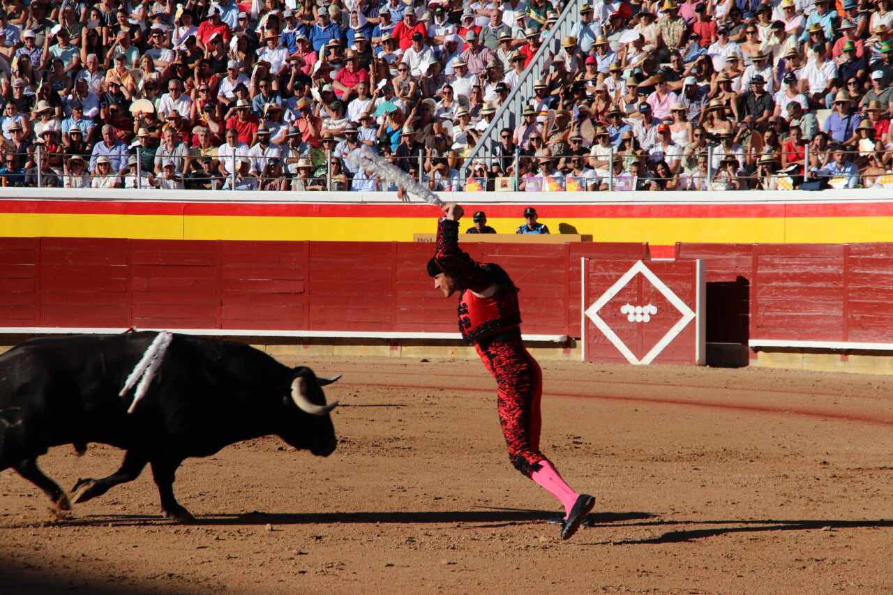 Torero realizando un arrimón en la plaza de toros de Palencia