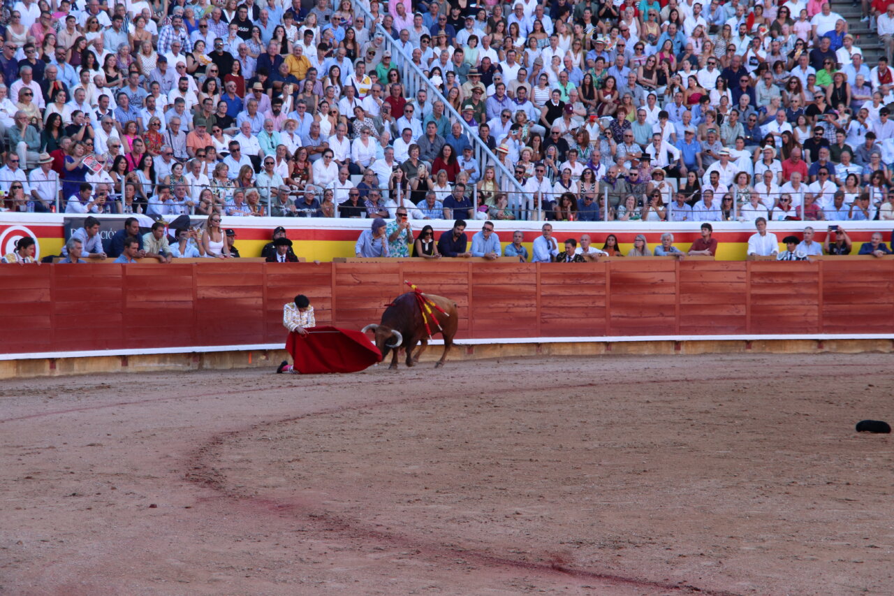 Roca Rey lidiando un toro en la plaza de toros de Palencia